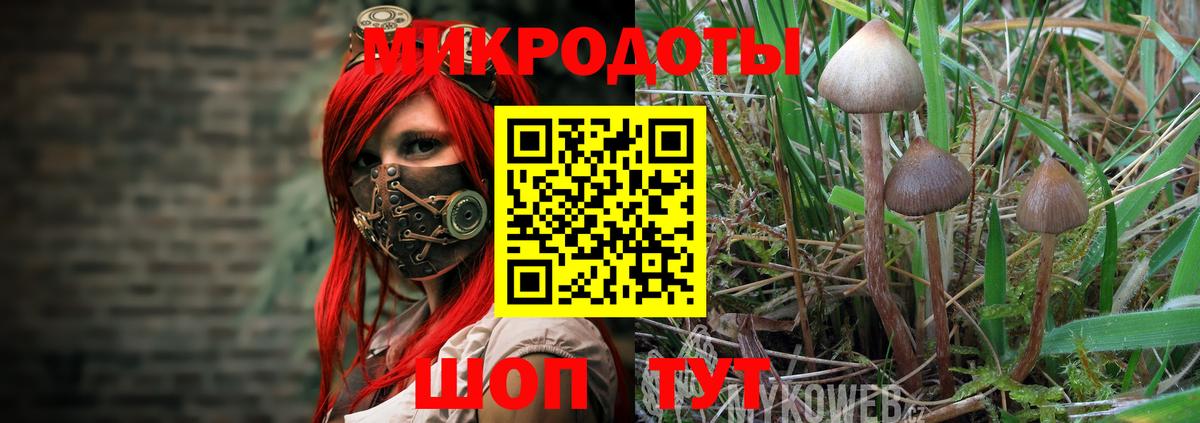 Псилоцибиновые грибы мицелий Псков