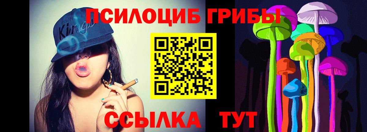 Псков  Галлюциногенные грибы Psilocybine cubensis  Вход с VPN 